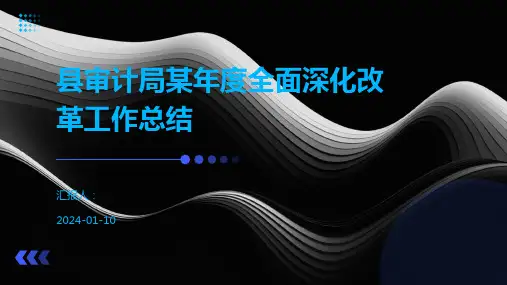 县审计局某年度全面深化改革工作总结