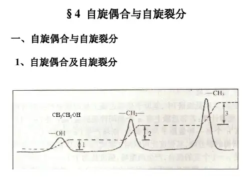 自旋偶合及自旋