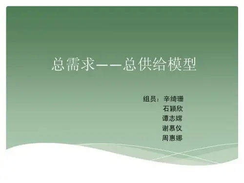宏观经济学__总需求—总供给模型