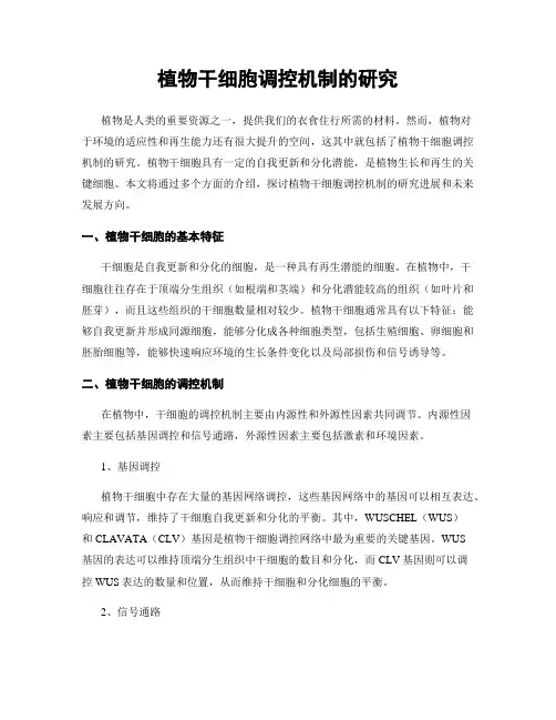 植物干细胞调控机制的研究