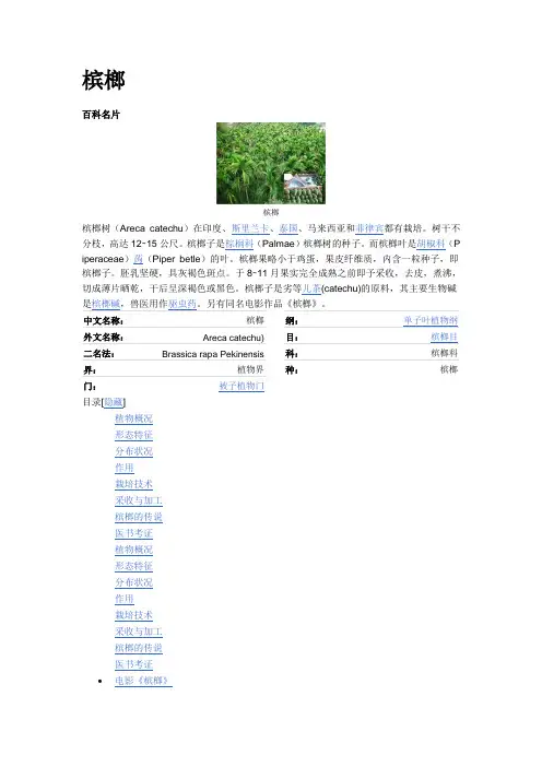 槟榔
