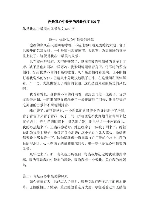 你是我心中最美的风景作文500字（优秀篇）