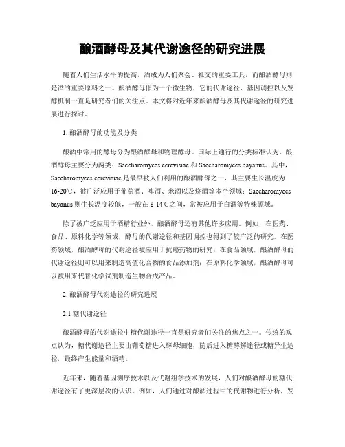 酿酒酵母及其代谢途径的研究进展