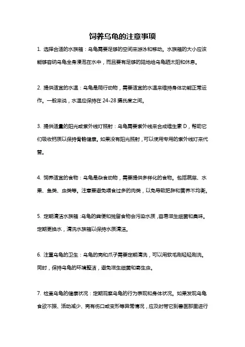 饲养乌龟的注意事项