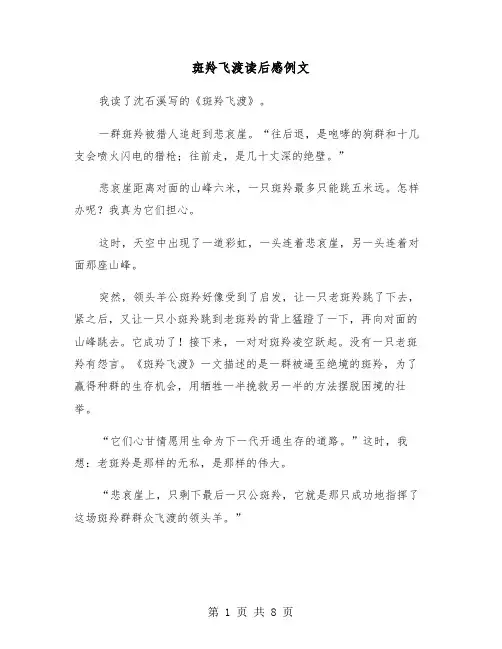 斑羚飞渡读后感例文（五篇）