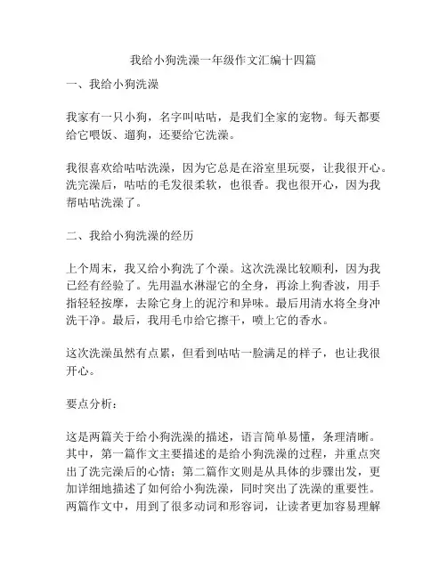 我给小狗洗澡一年级作文汇编十四篇