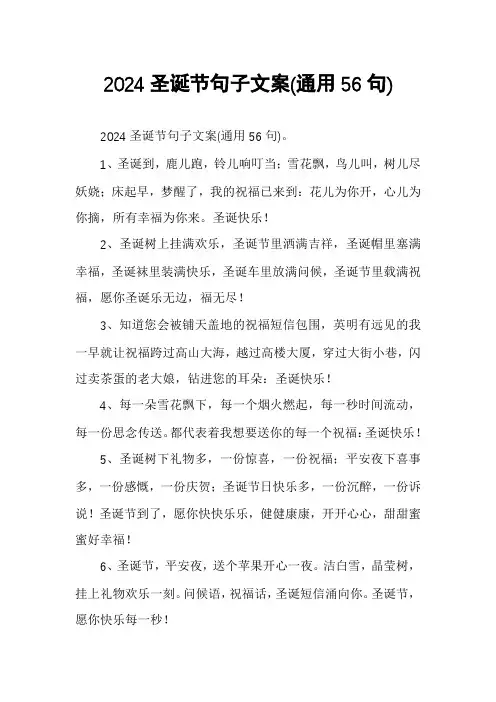 2024圣诞节句子文案