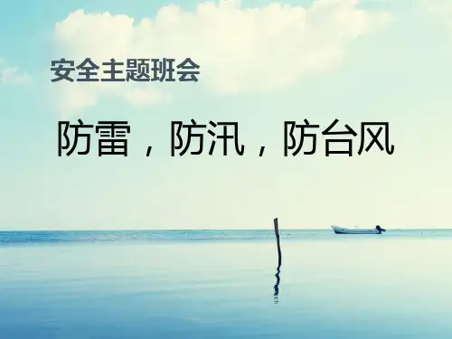 《防雷,防汛,防台风》PPT