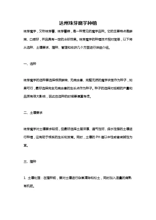 达州珠芽魔芋种植