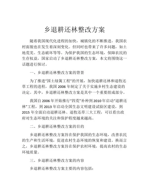 乡退耕还林整改方案