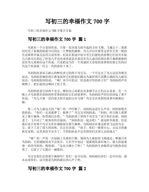 写初三的幸福作文700字