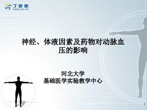 神经、体液因素及药物对动脉血压的影响