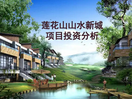 莲花山项目策划报告策划案