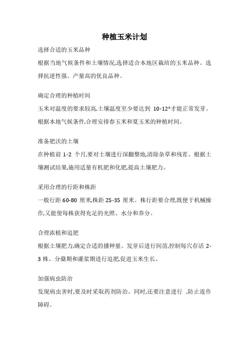 种植玉米计划