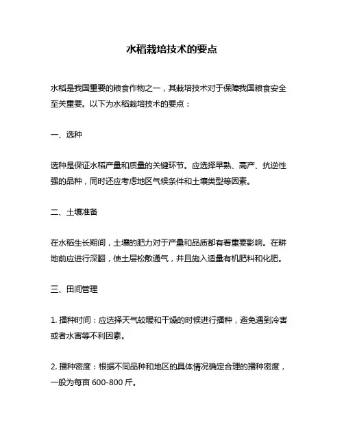 水稻栽培技术的要点
