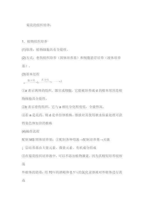 菊花的组织培养提纲