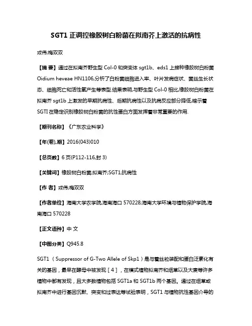 SGT1正调控橡胶树白粉菌在拟南芥上激活的抗病性