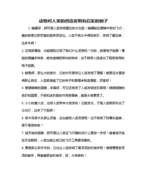 动物对人类的创造发明有启发的例子