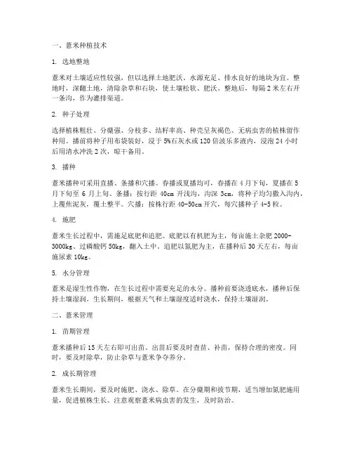 薏米种植技术及管理