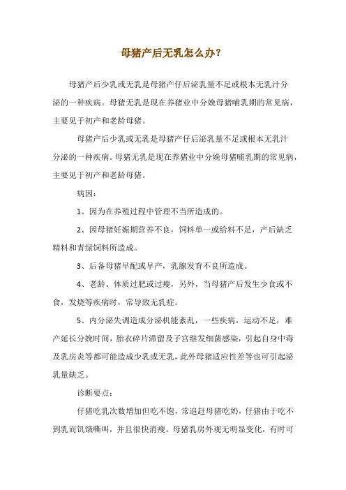 母猪产后无乳 怎么办？