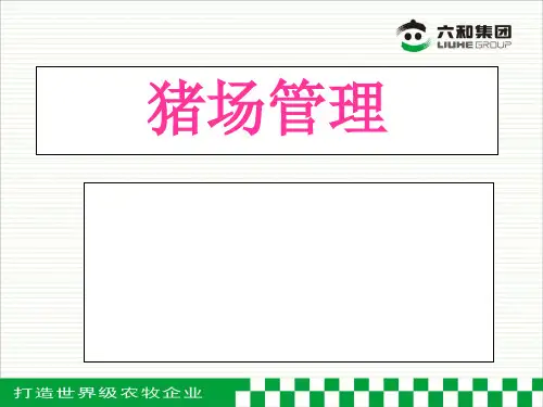 六和猪场管理课件