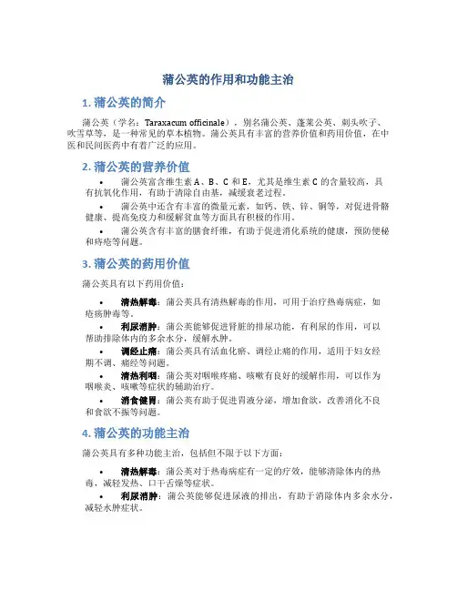蒲公英的作用和功能主治图片