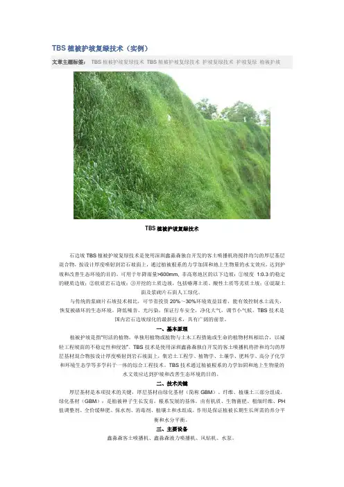 TBS植被护坡复绿技术