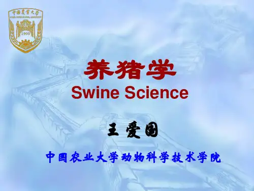 中国农业大学 养猪学课件
