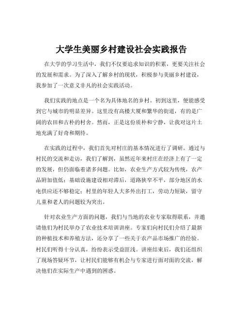 大学生美丽乡村建设社会实践报告