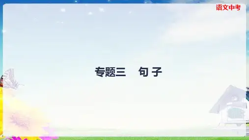中考语文总复习《句子》课件(幻灯片45张)