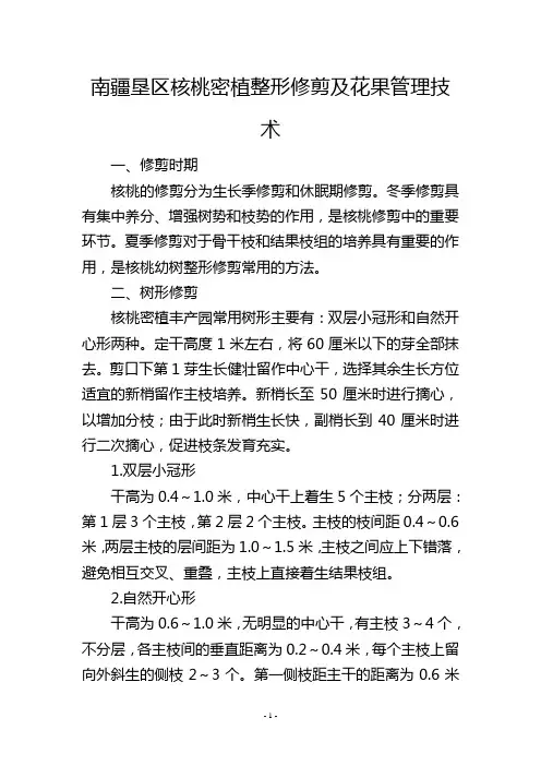 南疆垦区核桃密植整形修剪及花果管理技术
