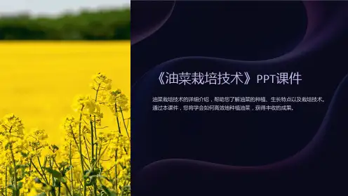 《油菜栽培技术》课件