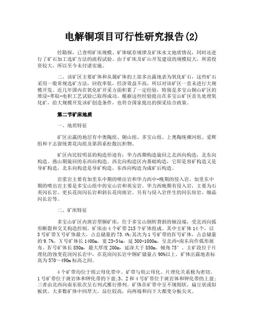 电解铜项目可行性研究报告2