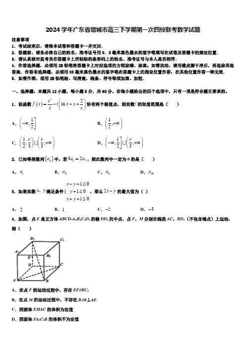 2024学年广东省增城市高三下学期第一次四校联考数学试题