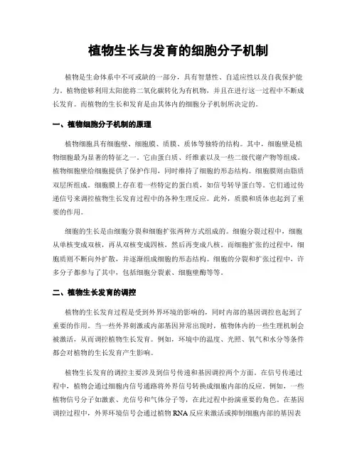 植物生长与发育的细胞分子机制
