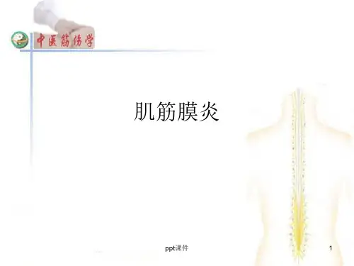 肌筋膜炎  ppt课件