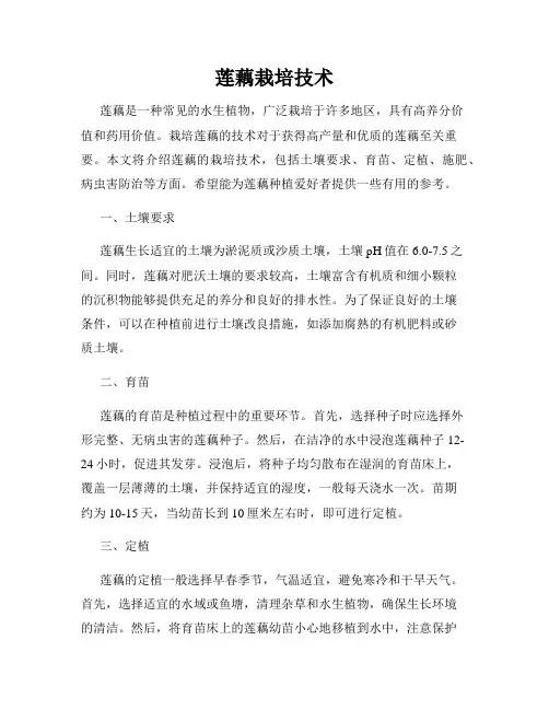 莲藕栽培技术
