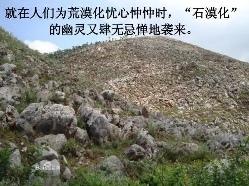 石漠化