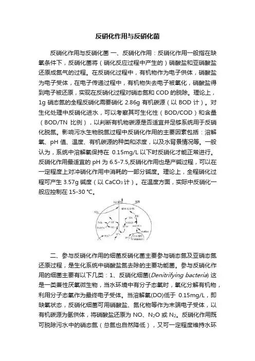 反硝化作用与反硝化菌