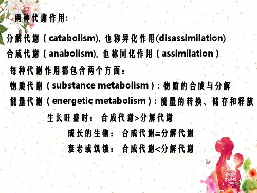 第十九二十一章代谢总论生物能学