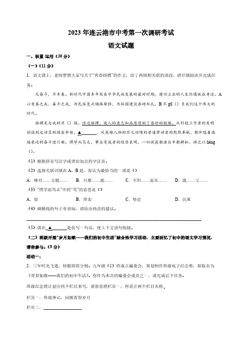 2023年江苏省连云港市中考一模语文试卷(含解析)