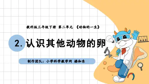 教科版科学三年级下册(2-2)认识其他动物的卵 课件11
