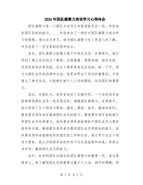 2024年团队凝聚力培训学习心得体会