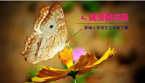 部编人教版三年级下册语文 第4课 昆虫备忘录 教学课件