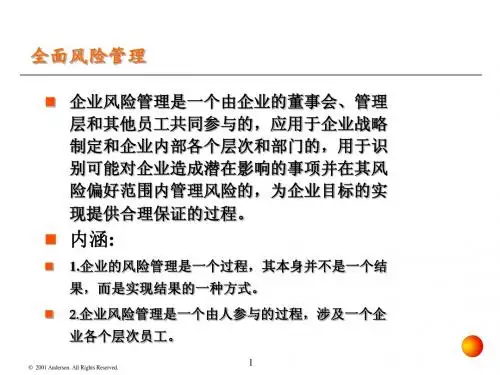 企业全面风险管理1
