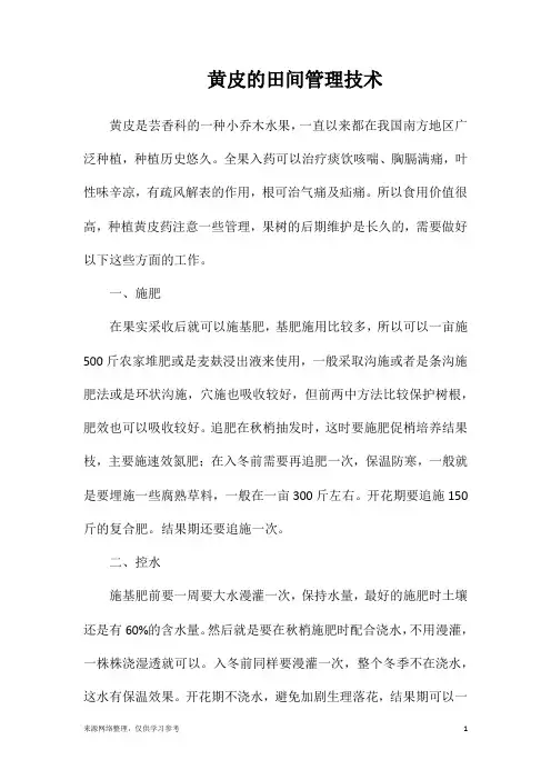 黄皮的田间管理技术