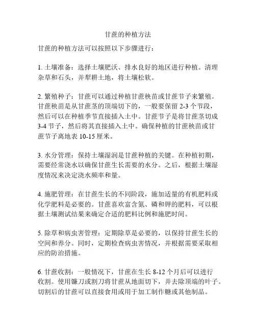 甘蔗的种植方法