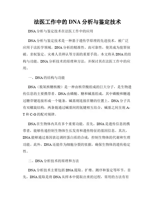 法医工作中的DNA分析与鉴定技术