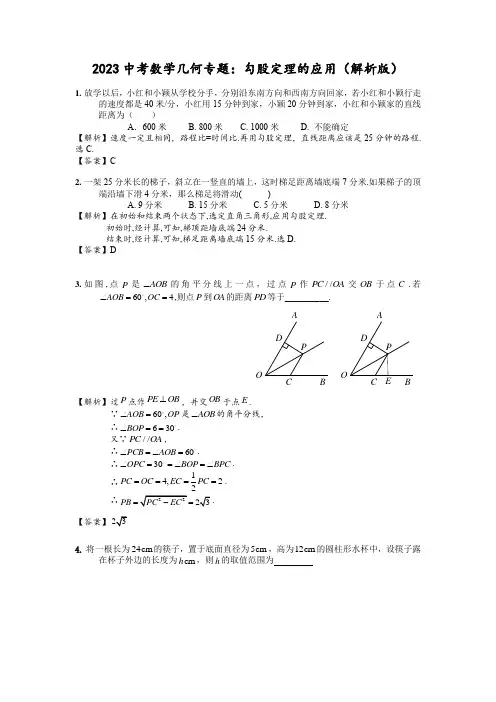 2023年中考数学几何专题：勾股定理的应用(解析版)
