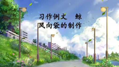 部编版五年级语文上册习作例文《鲸》《风向袋的制作》精美课件(共45张PPT)